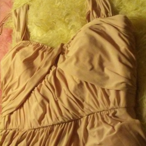 Dessy Blush Maracaine Gown - Picture 2 of 8